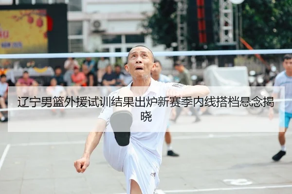 辽宁男篮外援试训结果出炉新赛季内线搭档悬念揭晓